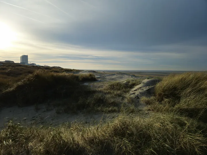 Oostnieuwkerke duinen wandeling in de koude (België)